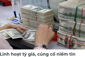 Linh hoạt tỷ giá, củng cố niềm tin