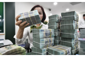Dẫn dắt dòng tiền giữa vòng xoáy bất định