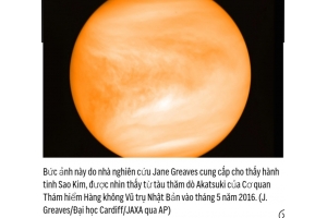 Chuyến trở lại bất ngờ của sứ giả sao Kim