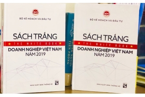 Sách trắng Doanh nghiệp Việt Nam 2019