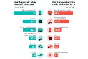 Những doanh nghiệp lĩnh ấn tiên phong